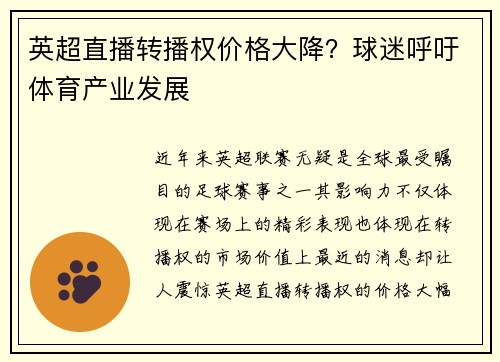英超直播转播权价格大降？球迷呼吁体育产业发展